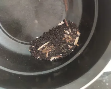 The trash that I removed from the inside